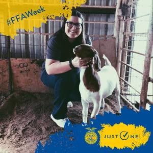 Meet your Posher, Jaci